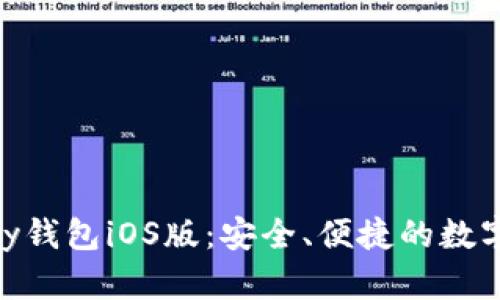 全面解析OKPay钱包iOS版：安全、便捷的数字资产管理工具