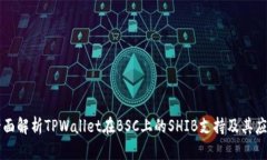 全面解析TPWallet在BSC上的SHIB支持及其应用