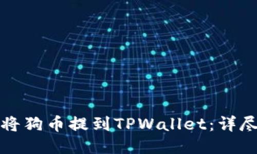 如何将狗币提到TPWallet：详尽指南