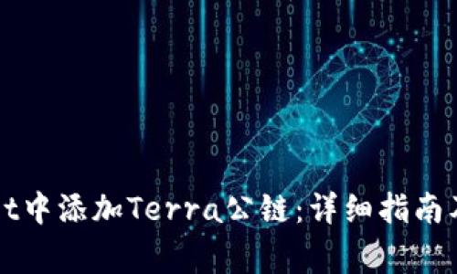 如何在TPWallet中添加Terra公链：详细指南及常见问题解答