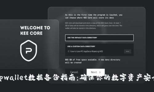 tpwallet数据备份指南：确保你的数字资产安全