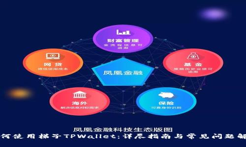 如何使用梯子TPWallet：详尽指南与常见问题解答