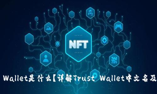 Trust Wallet是什么？详解Trust Wallet中文名及其功能