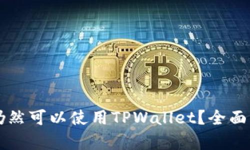 大陆用户是否仍然可以使用TPWallet？全面解析与使用指南