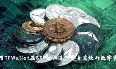 如何使用TPWallet在BSC链上进行安全高效的数字资产