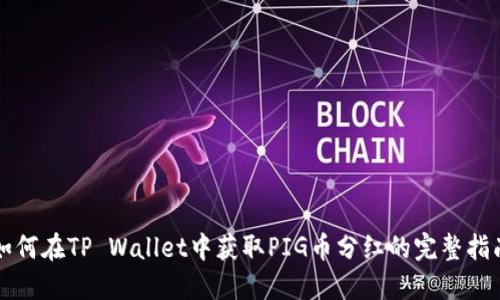 如何在TP Wallet中获取PIG币分红的完整指南