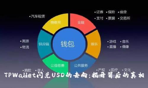 TPWallet闪兑USD的去向：揭开背后的真相