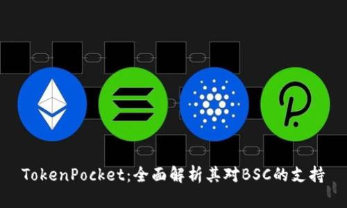 TokenPocket：全面解析其对BSC的支持