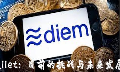 
TPWallet: 目前的挑战与未来发展分析