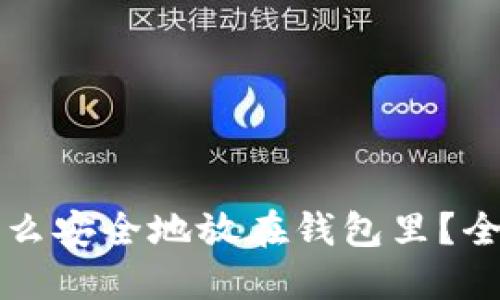 虚拟币怎么安全地放在钱包里？全攻略揭秘