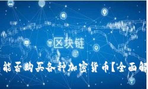 虚拟钱包能否购买各种加密货币？全面解析与指南