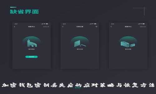 加密钱包密钥丢失后的应对策略与恢复方法