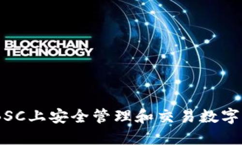用TPWallet在BSC上安全管理和交易数字资产的终极指南