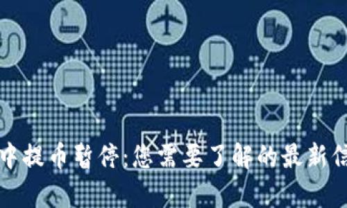 tpwallet维护中提币暂停：您需要了解的最新信息与解决方案
