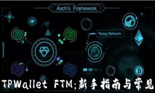 
如何设置TPWallet FTM：新手指南与常见问题解答