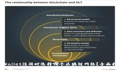TPWallet注册时选择哪个区块链网络？全面指南