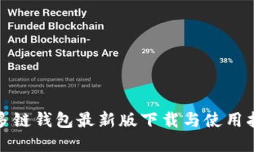 tp多链钱包最新版下载与使用指南