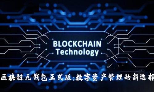 区块链元钱包正式版：数字资产管理的新选择