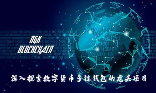 深入探索数字货币多链钱包的龙头项目