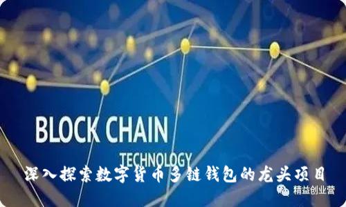 深入探索数字货币多链钱包的龙头项目