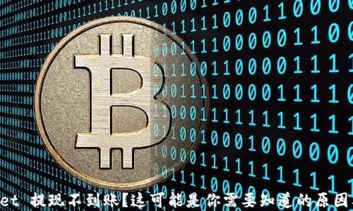 
TokenPocket 提现不到账？这可能是你需要知道的原因及解决方法