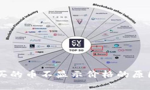 TPWallet购买的币不显示价格的原因及解决方法