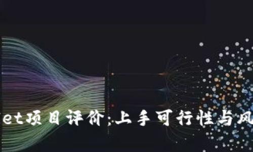 TPWallet项目评价：上手可行性与风险分析