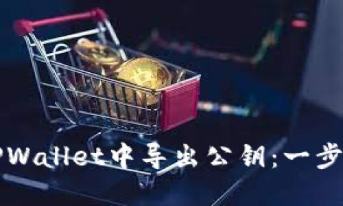 如何在TPWallet中导出公钥:一步一步指导