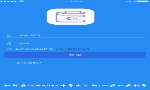 如何在TPWallet中导出公钥：一步一步指导
