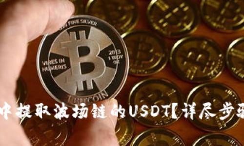 如何在TPWallet中提取波场链的USDT？详尽步骤与常见问题解析