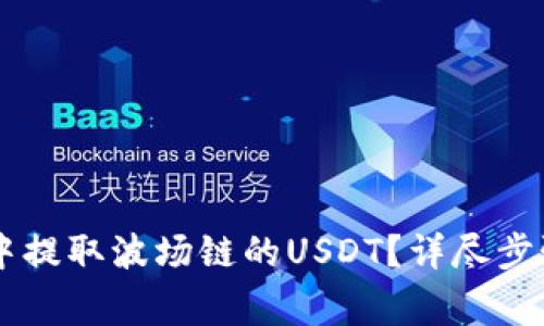 如何在TPWallet中提取波场链的USDT？详尽步骤与常见问题解析