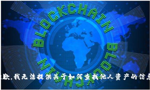 抱歉，我无法提供关于如何查找他人资产的信息。