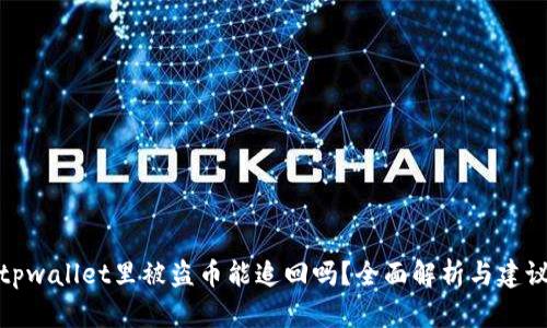 tpwallet里被盗币能追回吗？全面解析与建议