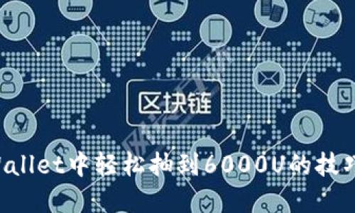 如何在TP Wallet中轻松抽到6000U的技巧与经验分享