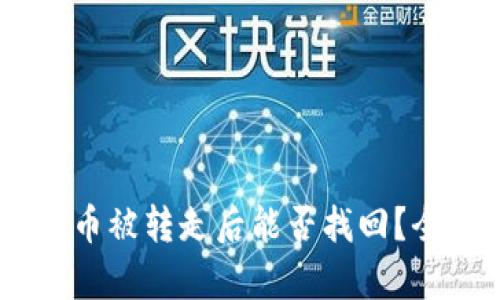 TPWallet FIL币被转走后能否找回？全面解析与对策