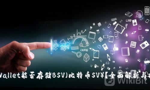 TPWallet能否存储BSV（比特币SV）？全面解析与指南