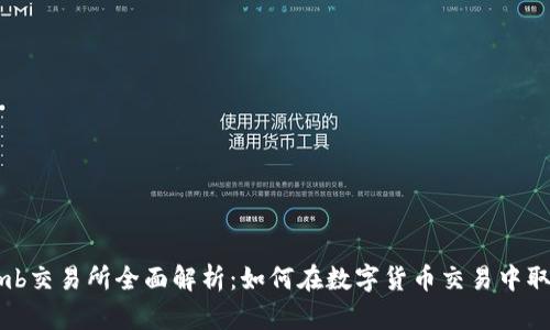 Bithumb交易所全面解析：如何在数字货币交易中取得成功