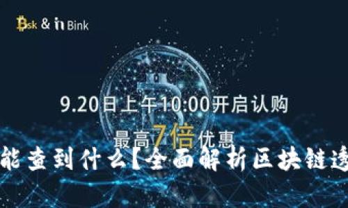 区块链钱包地址能查到什么？全面解析区块链透明性与隐私保护