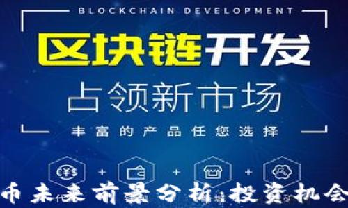 
加密货币未来前景分析：投资机会与风险