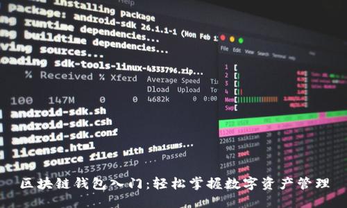区块链钱包入门：轻松掌握数字资产管理