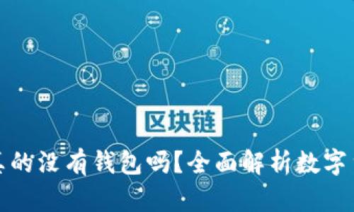 数字货币平台真的没有钱包吗？全面解析数字货币的存储方式