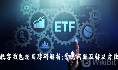 数字钱包使用障碍解析：常见问题及解决方法