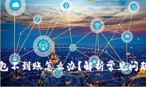 虚拟币转钱包不到账怎么办？解析常见问题与解决方案