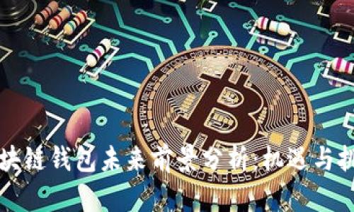 区块链钱包未来前景分析：机遇与挑战
