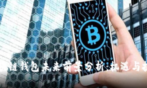 区块链钱包未来前景分析：机遇与挑战