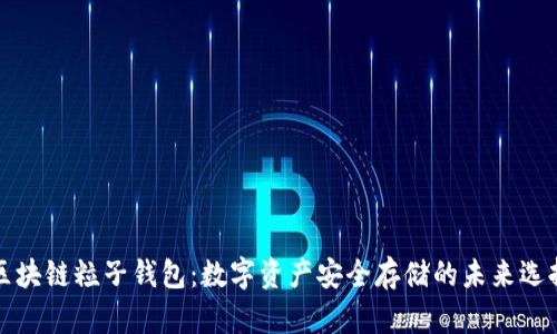 区块链粒子钱包：数字资产安全存储的未来选择