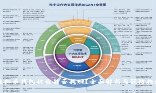 虚拟币钱包被盗能否找回？全面解析与预防措施