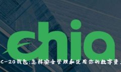 ERC-20钱包：怎样安全管理和使用你的数字资产？