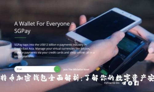 比特币加密钱包全面解析：了解你的数字资产安全