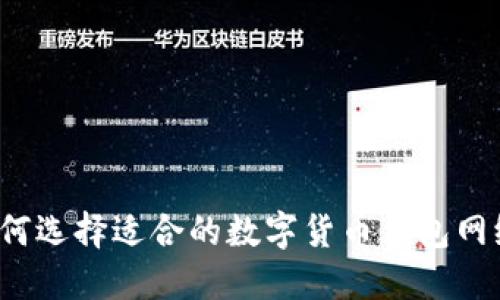 如何选择适合的数字货币钱包网络？